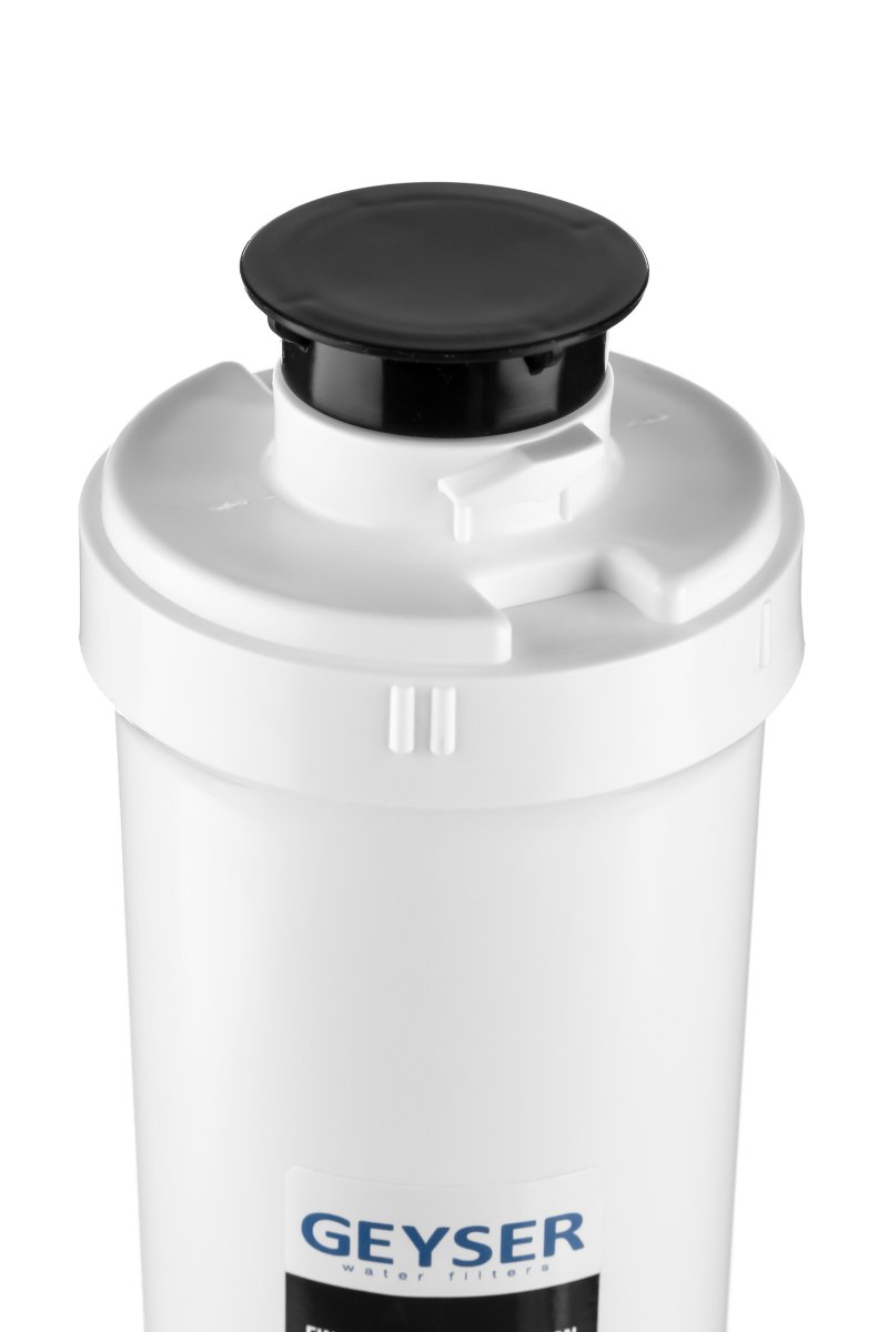 Сменный фильтрующий элемент Гейзер Карбон Блок Ag Смарт (30645)